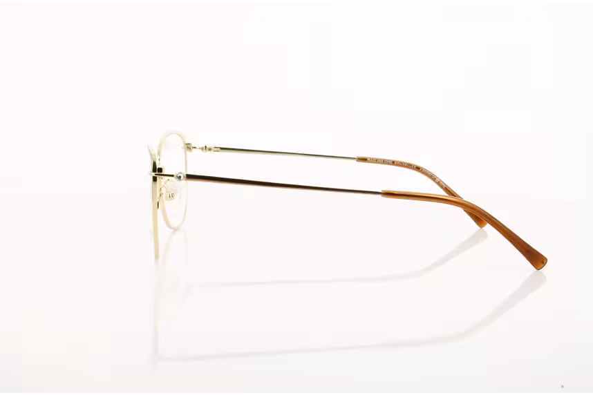 Ruud van Dyke RVD 1383T-3H