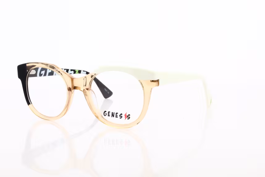 GV 1521 C6 Damenbrille Kunststoff