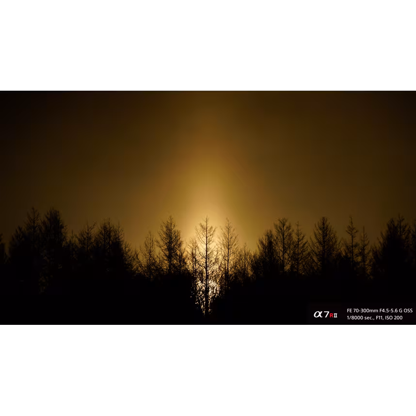 Sony SEL FE 70-300/4,5-5,6G OSS