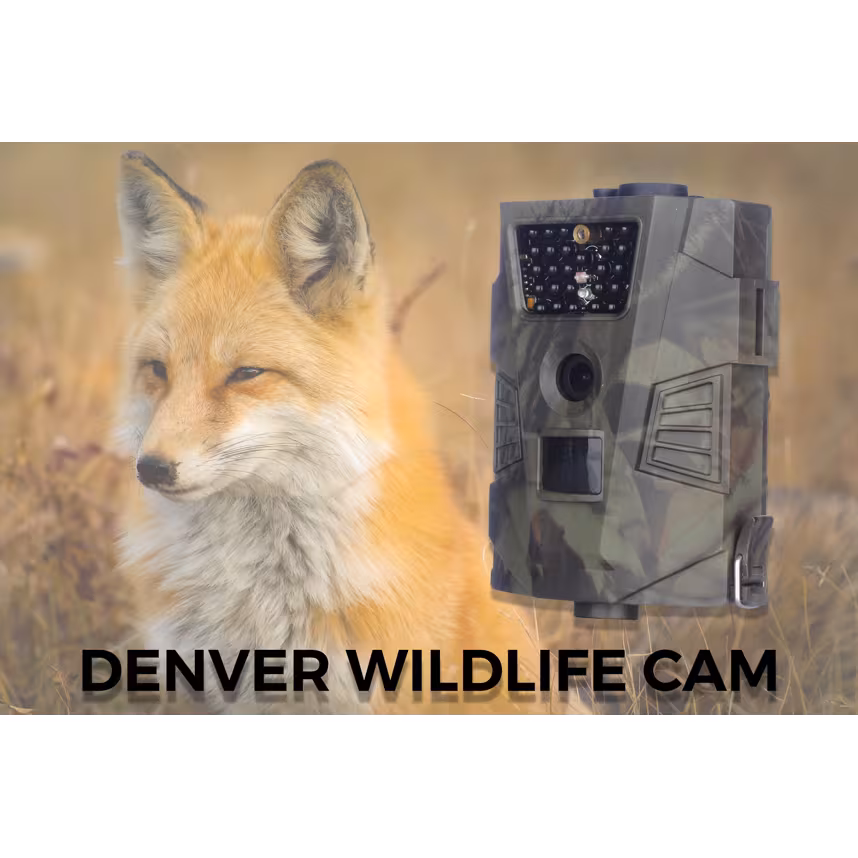 Denver WCT-5002 Wildkamera 
