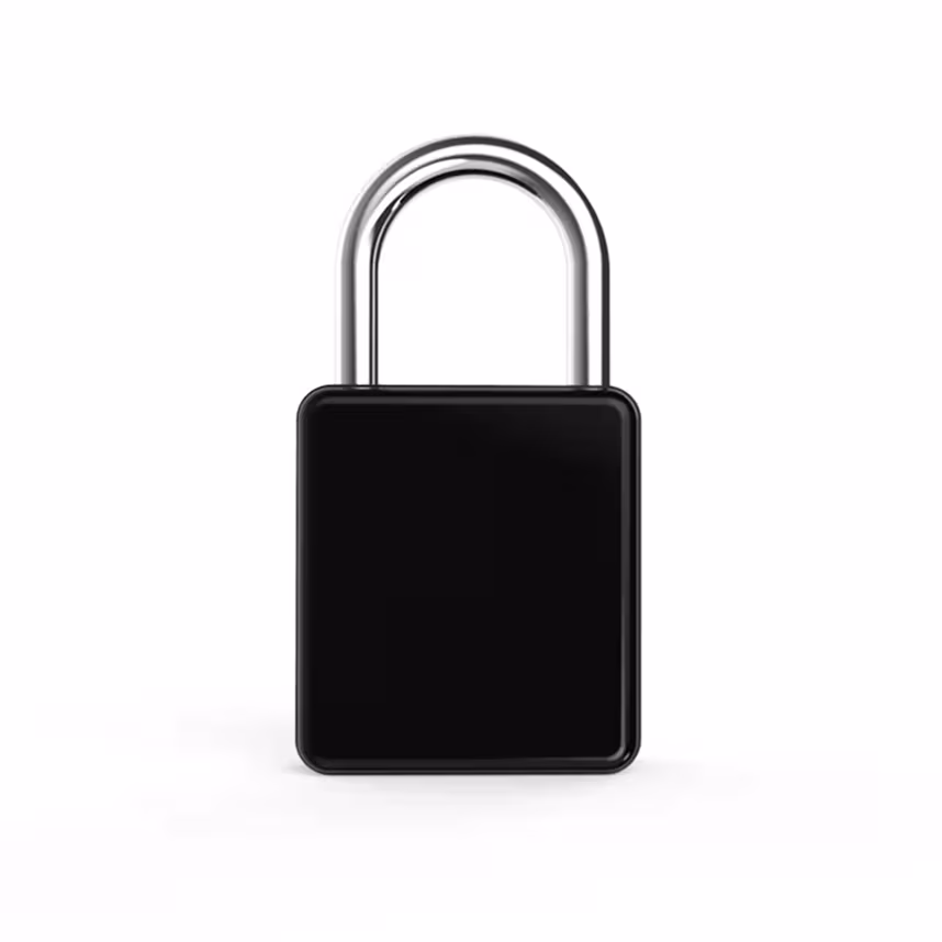 Felixx premium biometrisches Fingerprint Vorhängeschloss V2