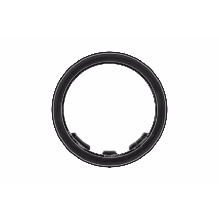 Samsung Galaxy Ring 10 19,8mm titan schwarz