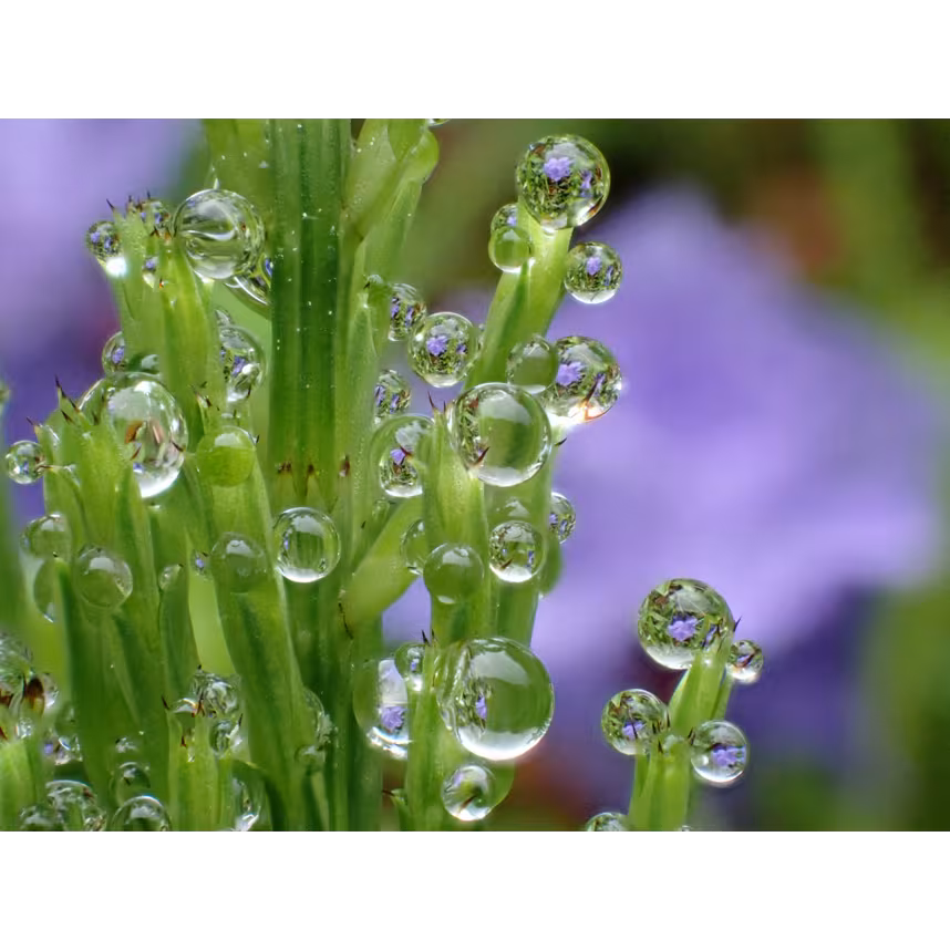 OM System TG-7 rot Outdoor-/Unterwasserkamera