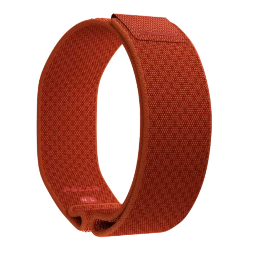 Polar Band Loop Gen2 S-L