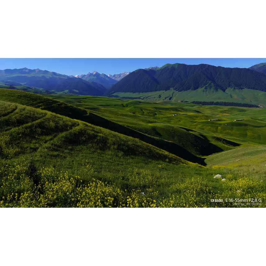 Sony SEL 16-55/2,8 G