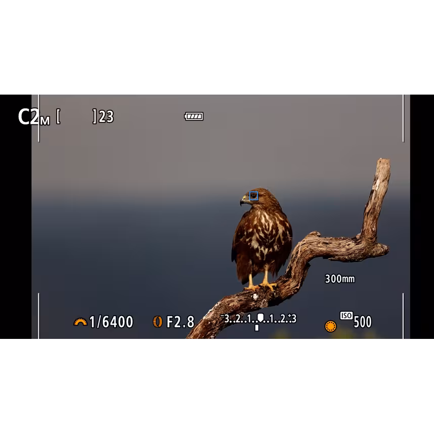 Canon PARS SIP EOS R10 Gehäuse