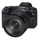 Canon PARS AIP1 EOS R + RF 24-105/4,0-7,1 IS STM