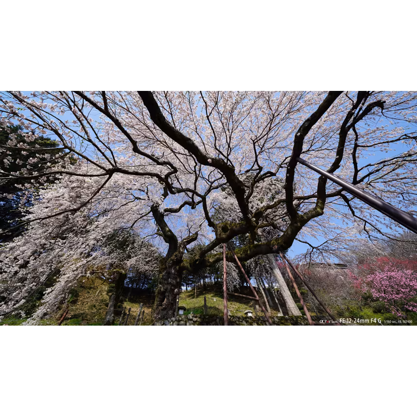 Sony SEL 12-24/4,0 G