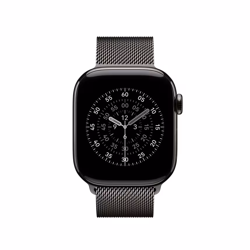 Apple Watch 42mm Slate Milanaise Loop
