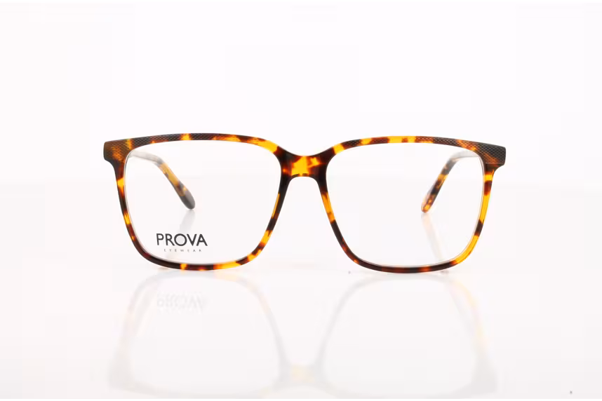 PROVA PL 709-006