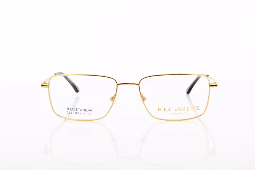 Ruud van Dyke RVD 1146T-4H Herrenbrille Titan