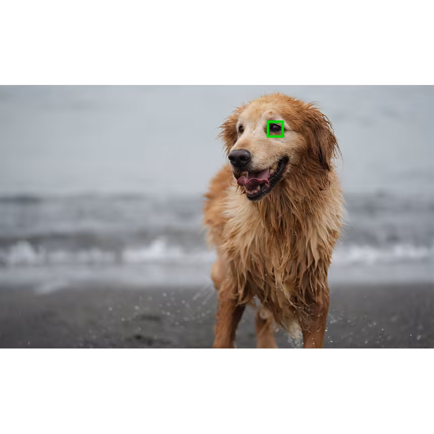 Sony Alpha ZV-E10 Gehäuse