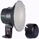 Elinchrom Ranger Quadra PRO Lampenkopf