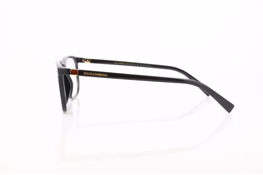 Dolce & Gabbana DG 5027 501