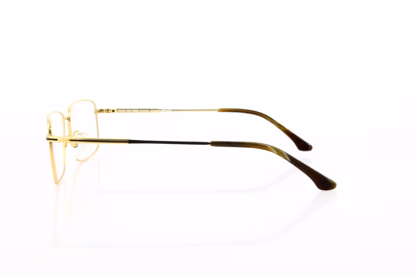 Ruud van Dyke RVD 1146T-4H Herrenbrille Titan