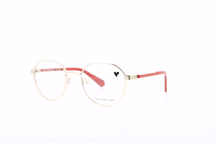 Calvin Klein Jeans CKJ25304 717