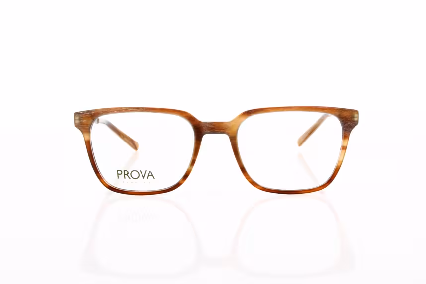 PL 552-008 Damenbrille Kunststoff