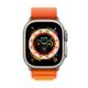 Apple Watch Ultra Cellular Titan 49mm Alpinband M orange