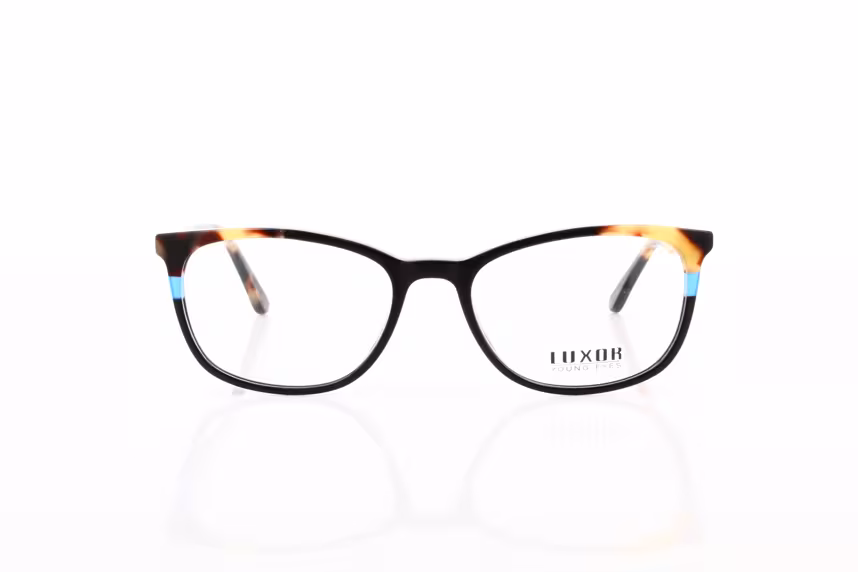 LX 308 C2 Damenbrille Kunststoff