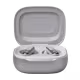 JBL Live Flex 3 In-Ear BT Kopfhörer silber