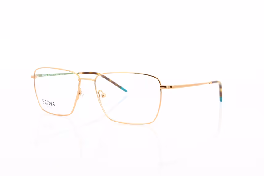 T 4131-003 Herrenbrille Metall