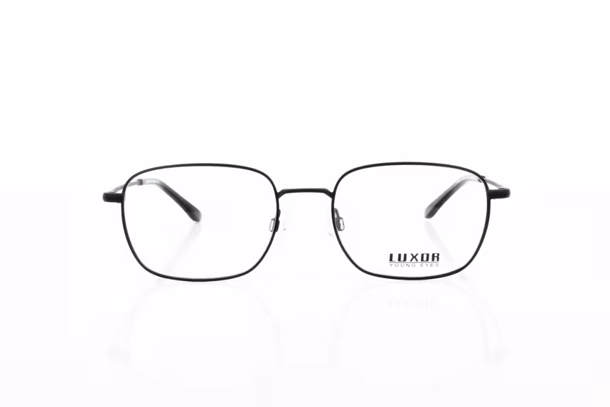 LX 302 C1 Herrenbrille Metall