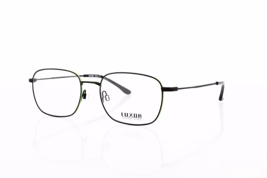 LX 302 C1 Herrenbrille Metall
