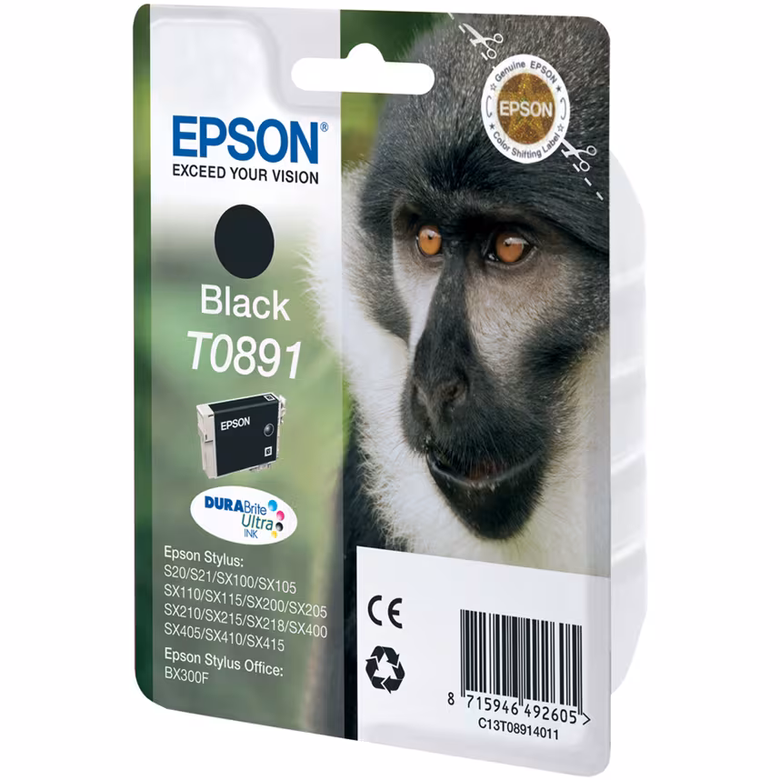 Epson T0891 Tinte Black 5,8ml
