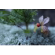 Sigma 16/1,4 DC DN Canon RF