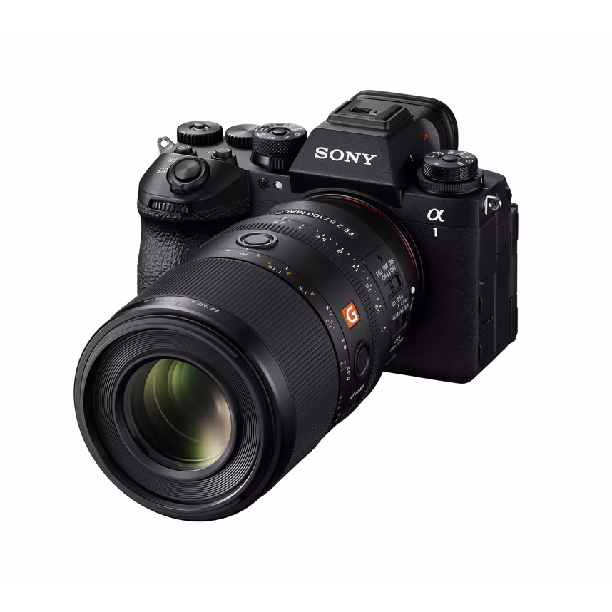 Sony FE 100/2,8 Macro GM