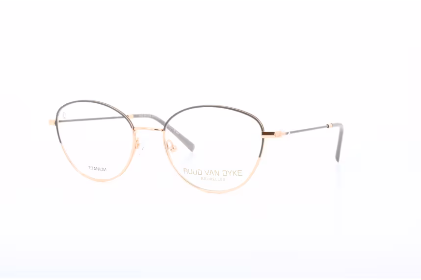 Ruud van Dyke 1378TL-2H