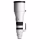 Sigma 300-600/4.0 DG OS Sony E-Mount