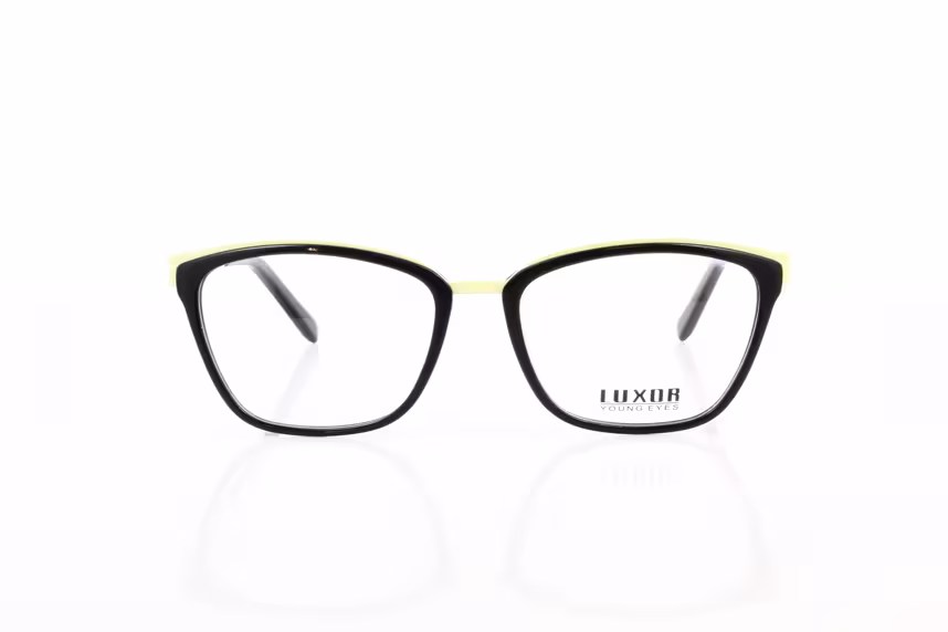 LX 306 C4 Damenbrille Kunststoff