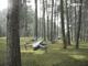 zwei Drohnen des Modells DJI Air 2S fliegen in Bodennähe durch einen Wald