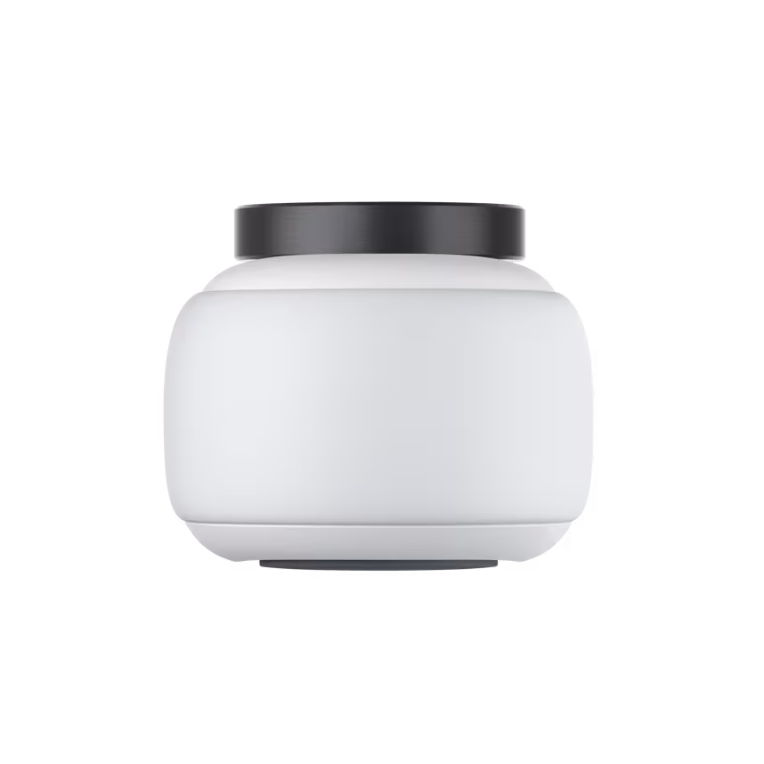 Insta 360 Go 2