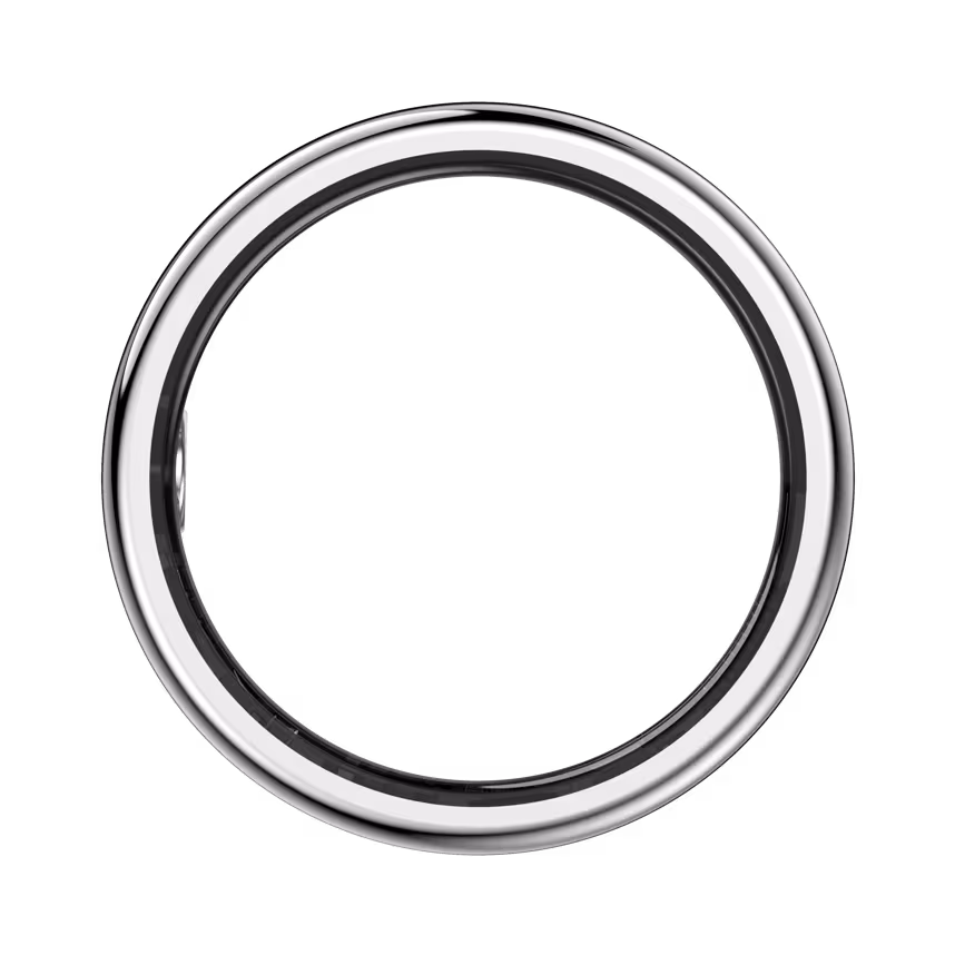 felixx Display SmartRing SR21D - Silber Größe #11 (64,6mm)