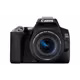Canon EOS 250D + EF-S 18-55/4,0-5,6 IS STM