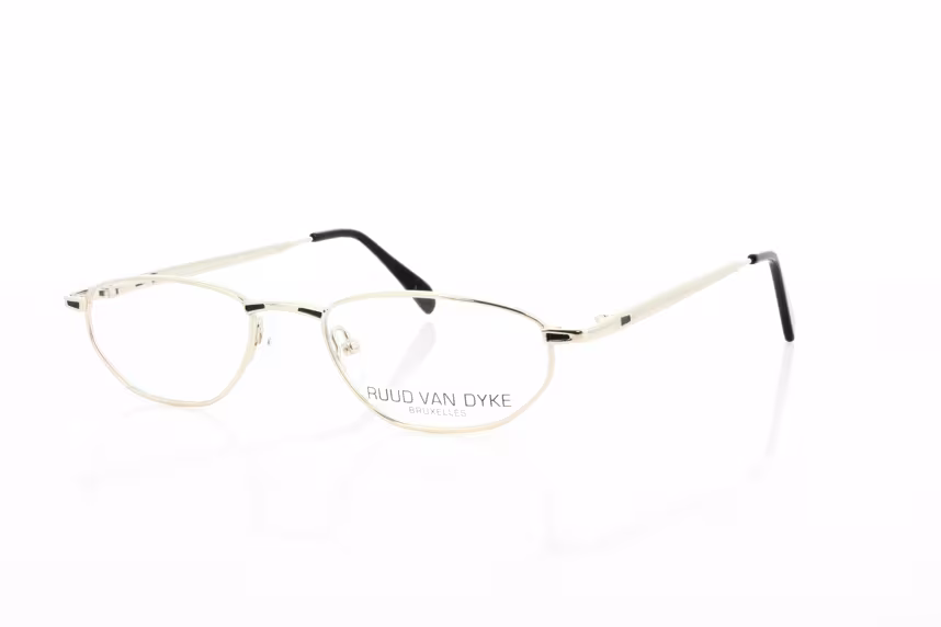 Ruud van Dyke RVD 0041-1