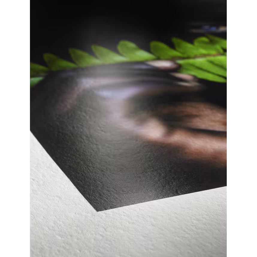Hahnemühle Photo Rag Pearl 320gsm A3+ 25 Blatt 