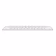 Apple Magic Keyboard EN