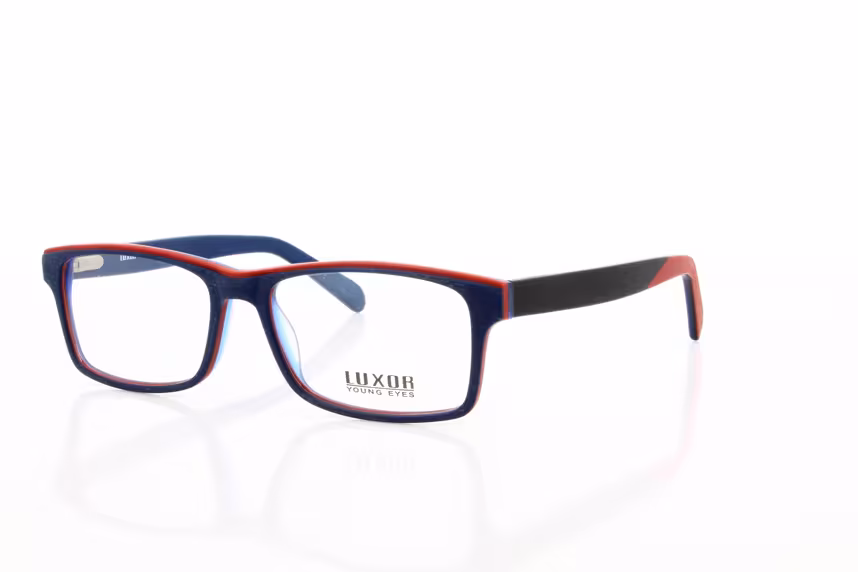 293 C3 Herrenbrille Kunststoff