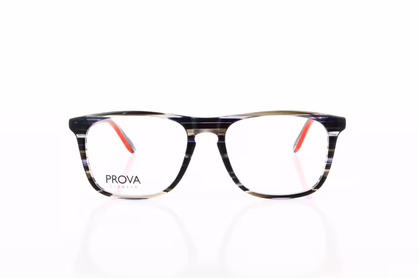 PL 493-003 Herrenbrille Kunststoff