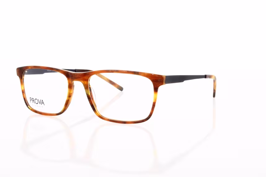 PL 553-004 Herrenbrille Kunststoff