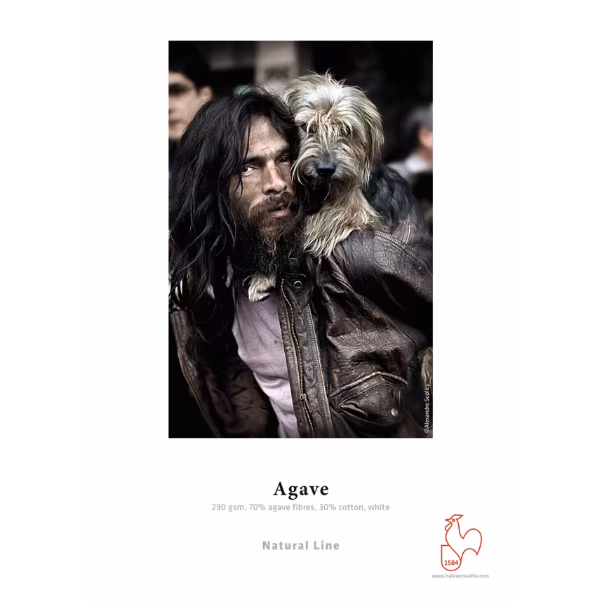Hahnem&uuml;hle Agave 290gsm A3 25 Blatt 