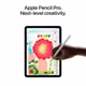 Apple iPad Air 11" WiFi + 5G 128GB grau