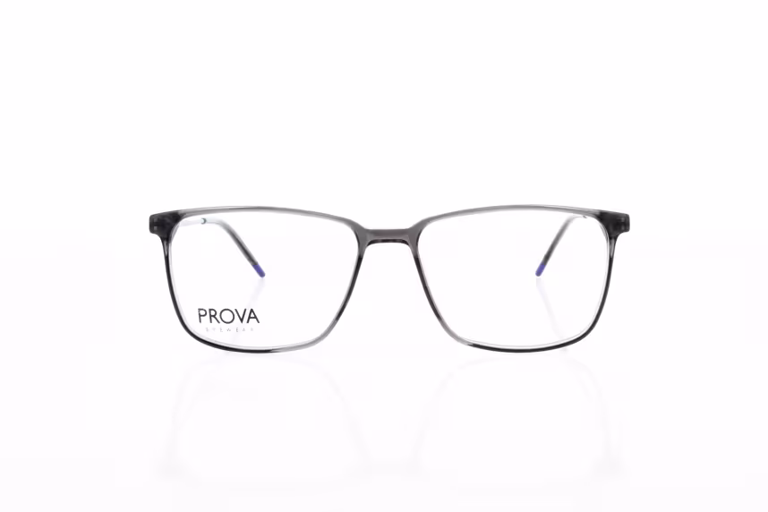 PL 616-001 Herrenbrille Kunststoff