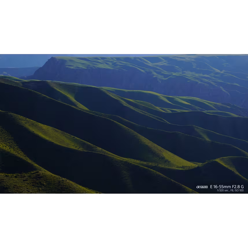 Sony SEL 16-55/2,8 G