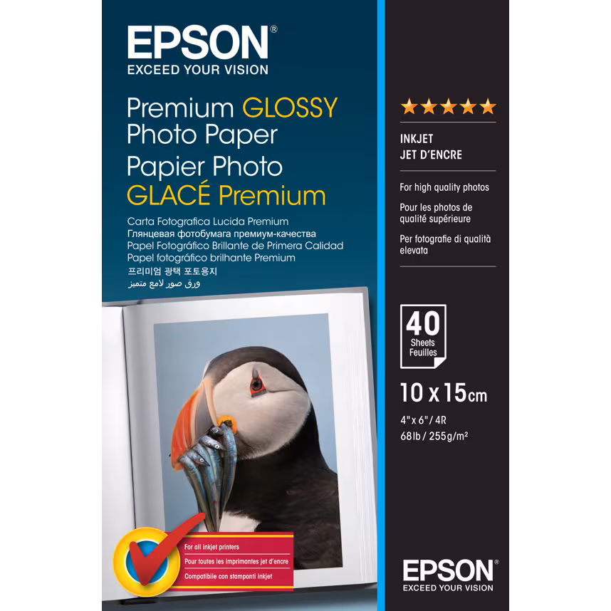 Epson S042153 10x15 40BL. Glossy