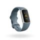 Fitbit Charge 5 Steel Blue/ Platinum Stainless Steel