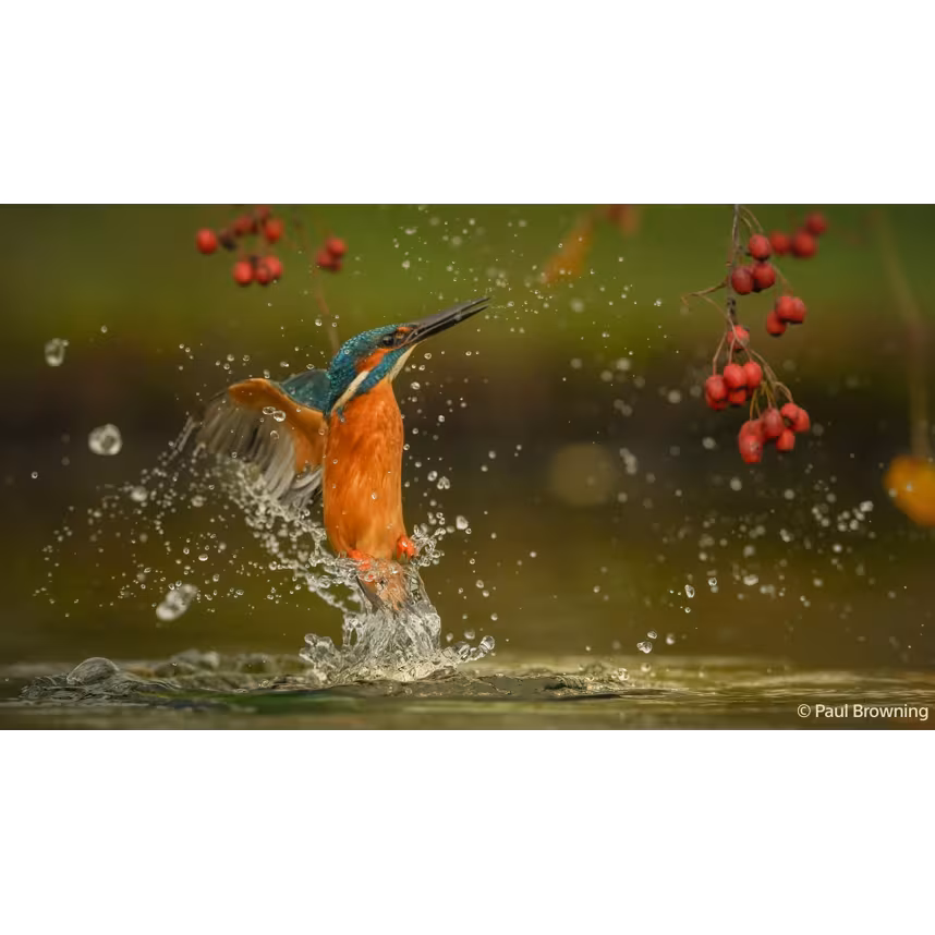 Sony Alpha 7 V Geh&auml;use